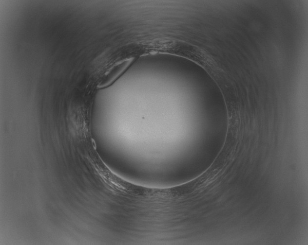 X0000052981058200507081117