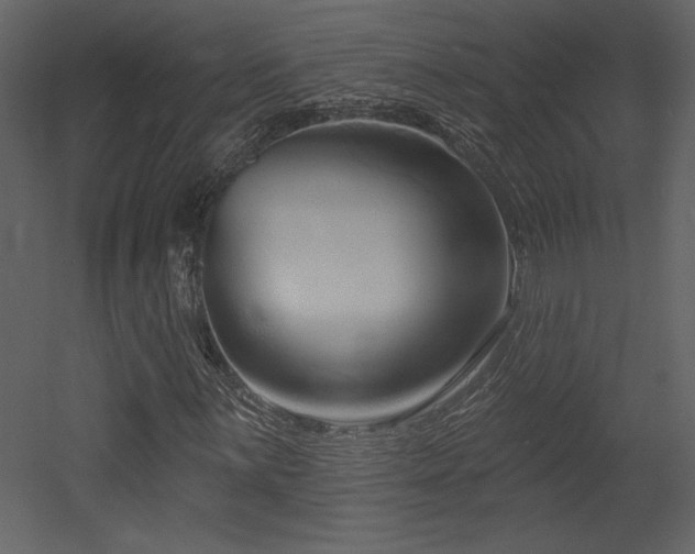 X0000052981059200507081117
