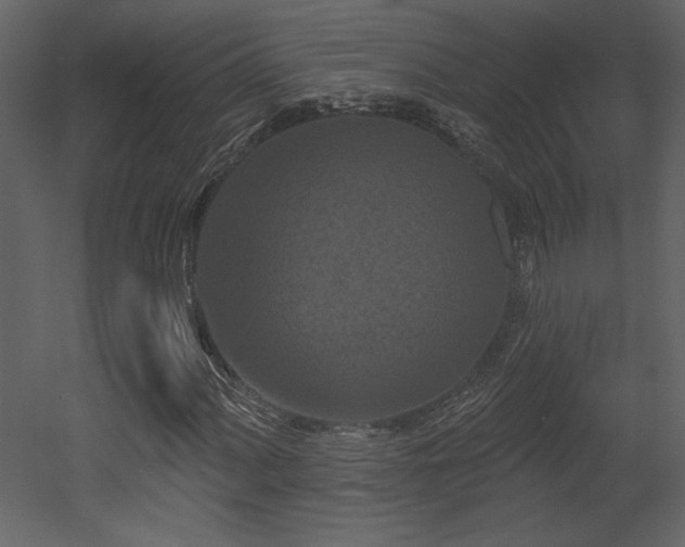 X0000052981060200507081117