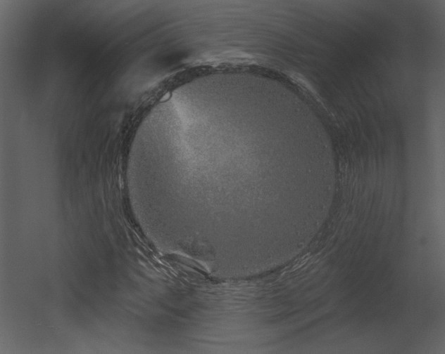 X0000052981063200507081117