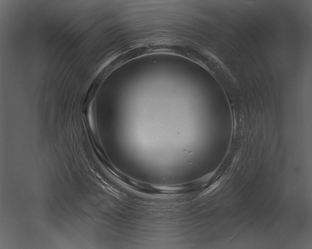 X0000052981065200507081117