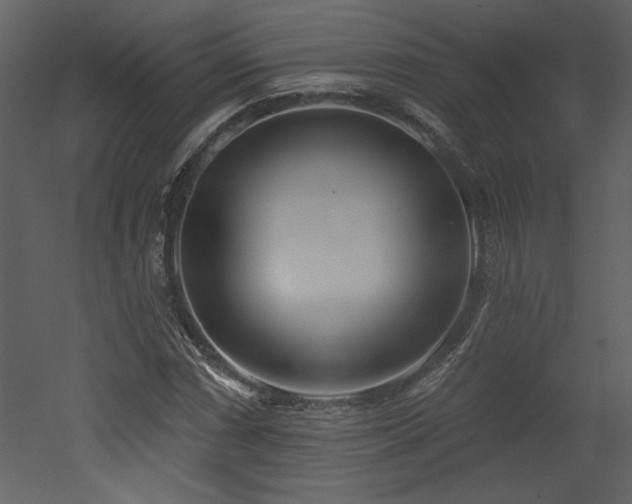 X0000052981066200507081117