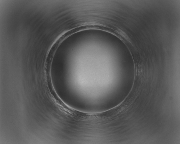 X0000052981068200507081117