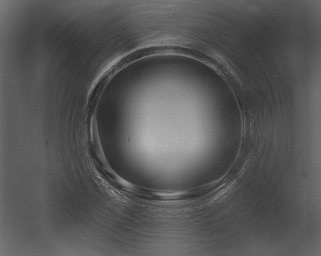 X0000052981069200507081117