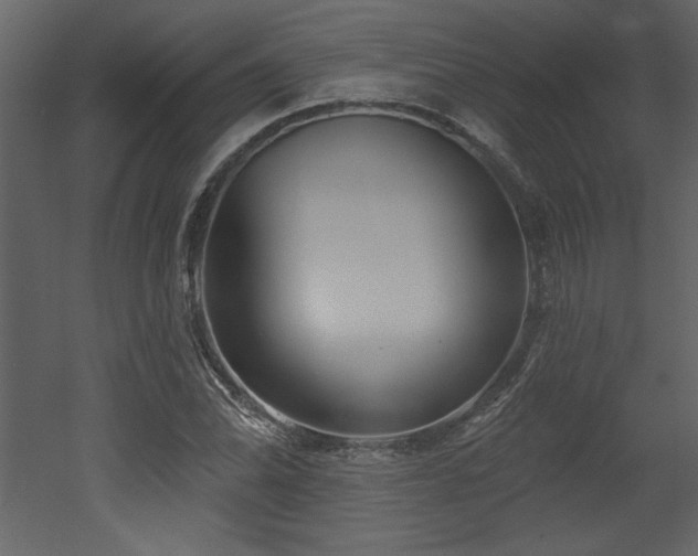 X0000052981070200507081117