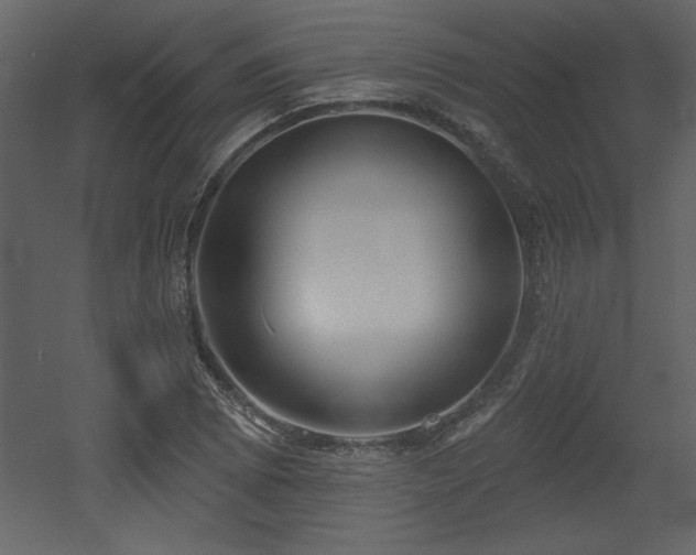X0000052981073200507081116