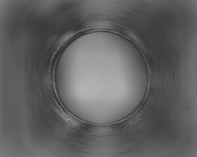 X0000052981074200507081116