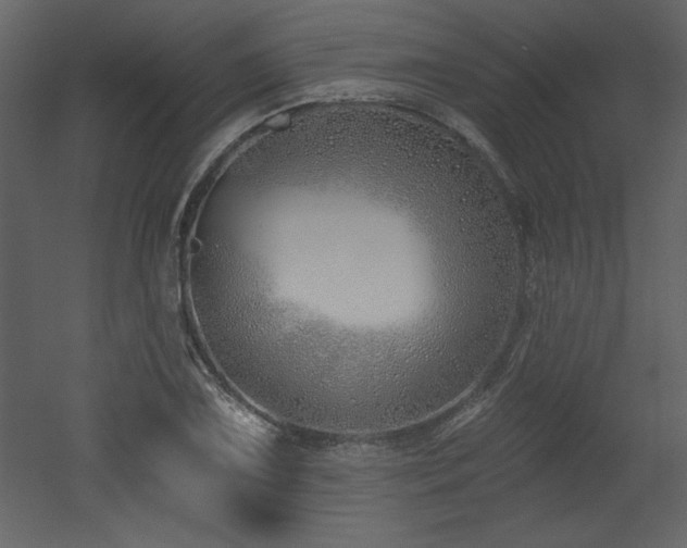 X0000052981075200507081116