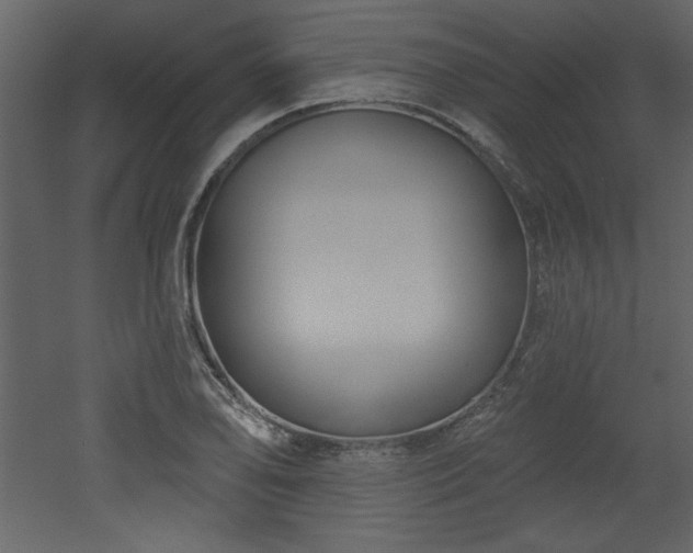 X0000052981078200507081116
