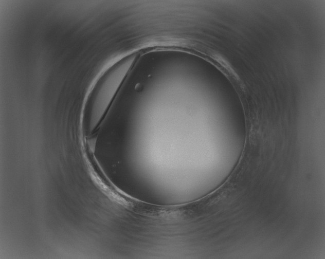X0000052981080200507081116