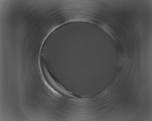 X0000052981084200507081116