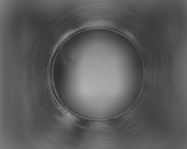 X0000052981086200507081116
