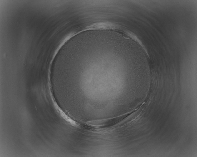 X0000052981091200507081116