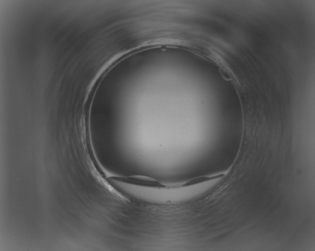 X0000052981092200507081116