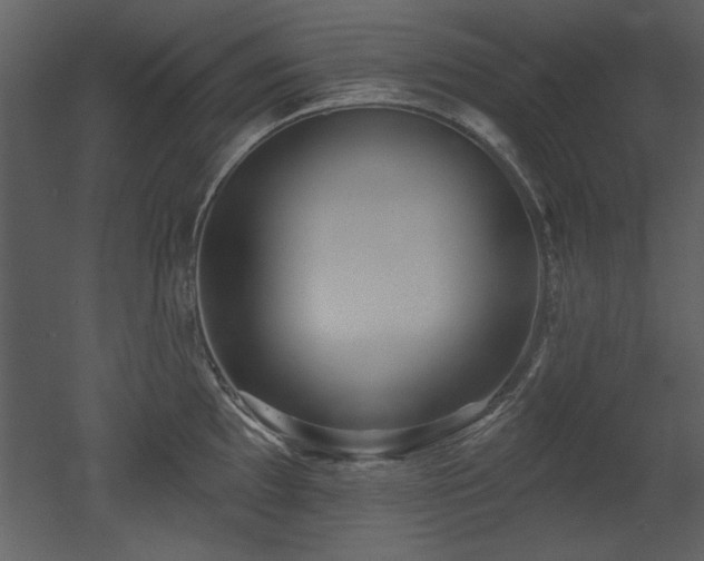 X0000052981097200507081116