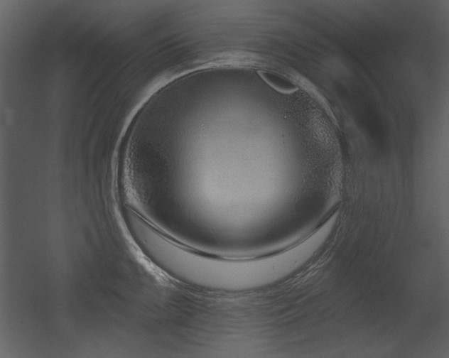 X0000052981099200507081116