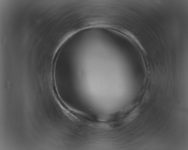 X0000052981101200507081116