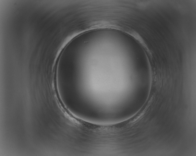 X0000052981102200507081116