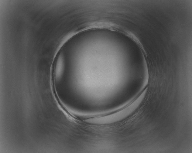 X0000052981103200507081116