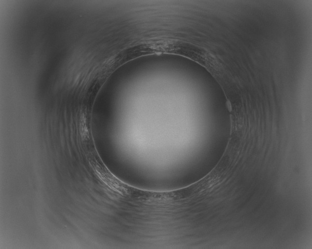 X0000052981106200507081115