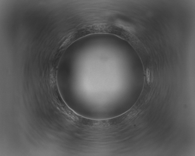 X0000052981107200507081115