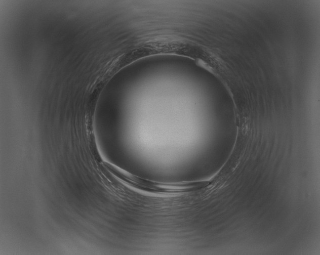 X0000052981108200507081115