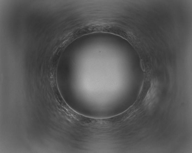 X0000052981109200507081115