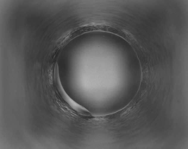 X0000052981110200507081115