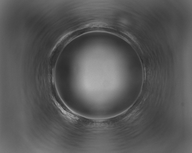 X0000052981115200507081115