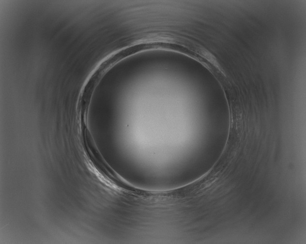 X0000052981116200507081115
