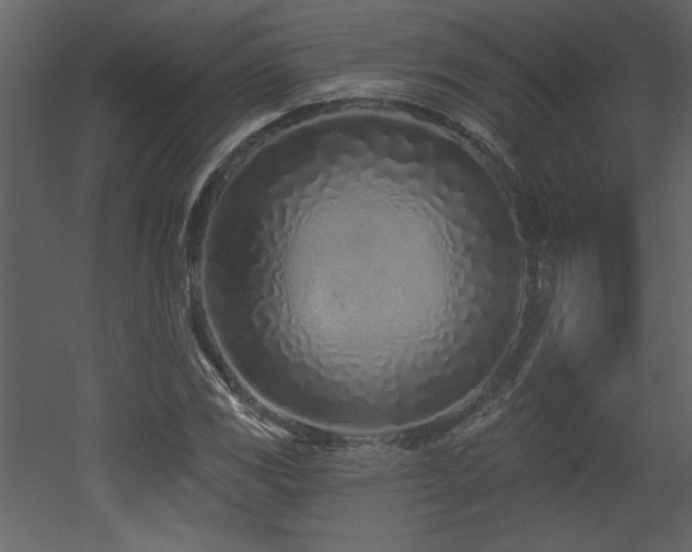 X0000052981117200507081115