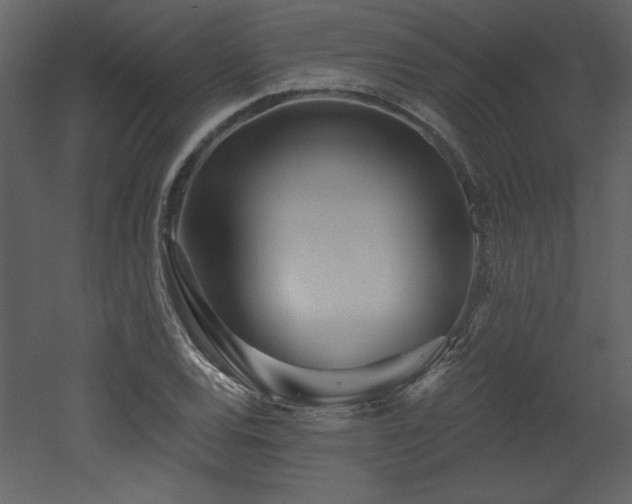 X0000052981120200507081115