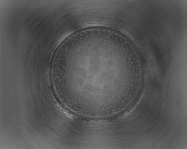 X0000052981121200507081115