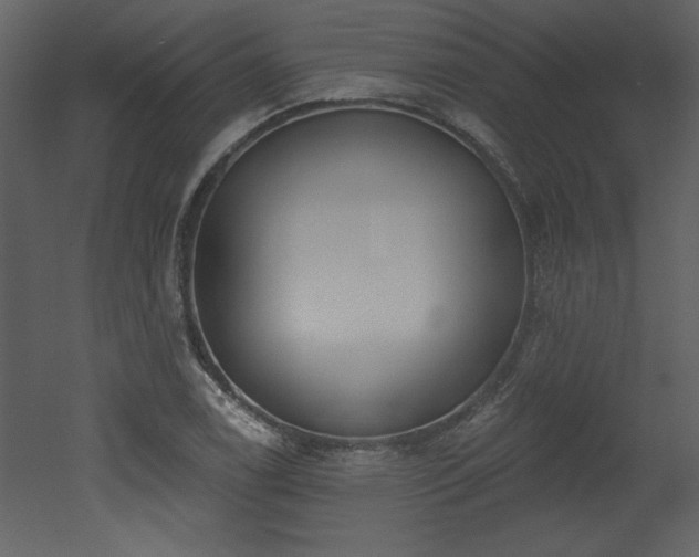 X0000052981122200507081115