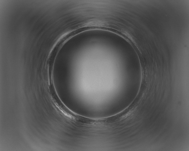 X0000052981123200507081115