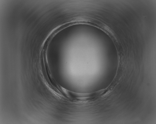 X0000052981124200507081115