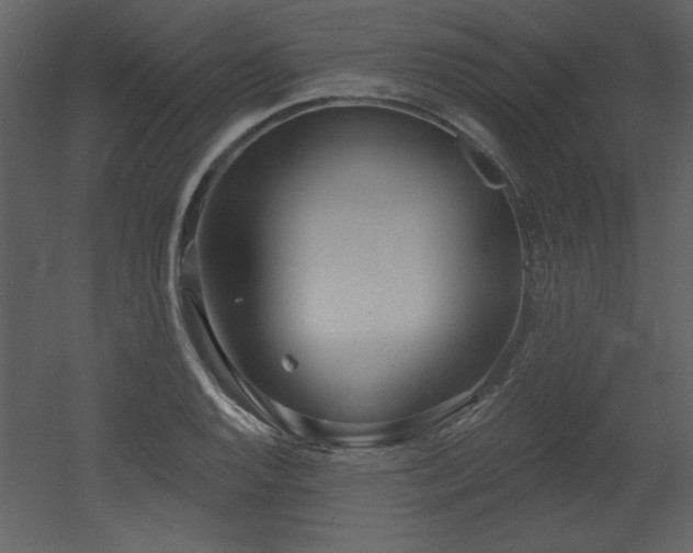 X0000052981128200507081116