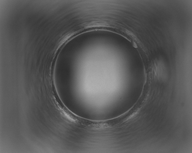 X0000052981129200507081116