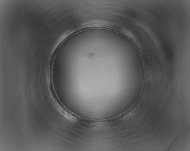 X0000052981130200507081116
