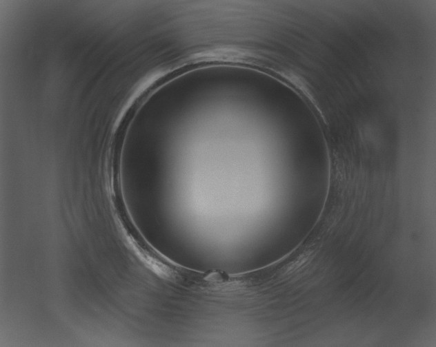 X0000052981131200507081116