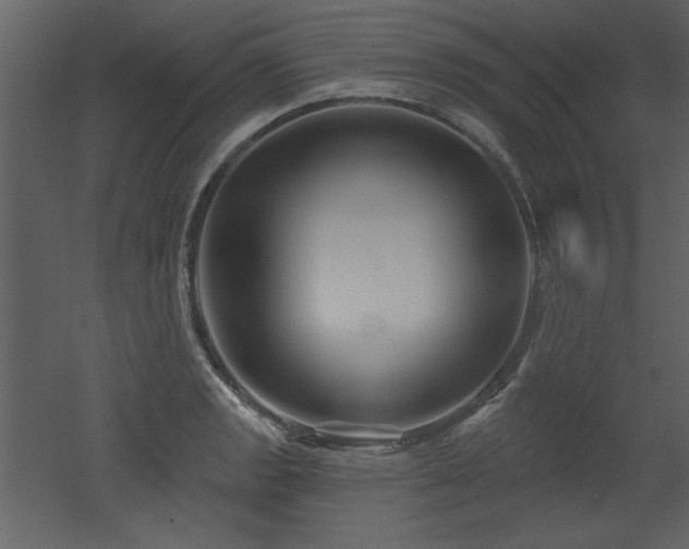 X0000052981133200507081116