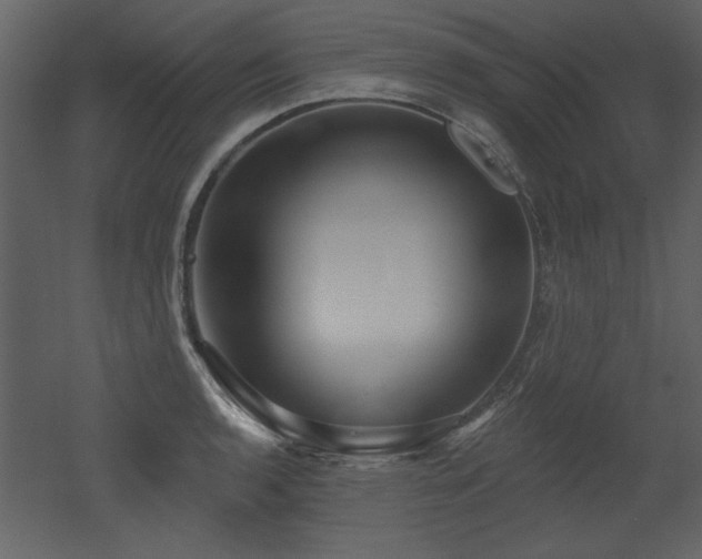 X0000052981136200507081116