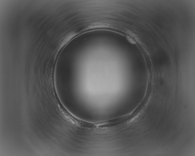 X0000052981137200507081116