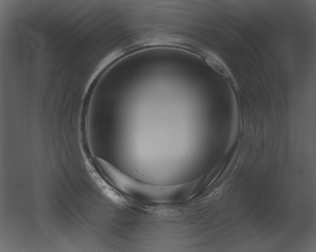 X0000052981138200507081116