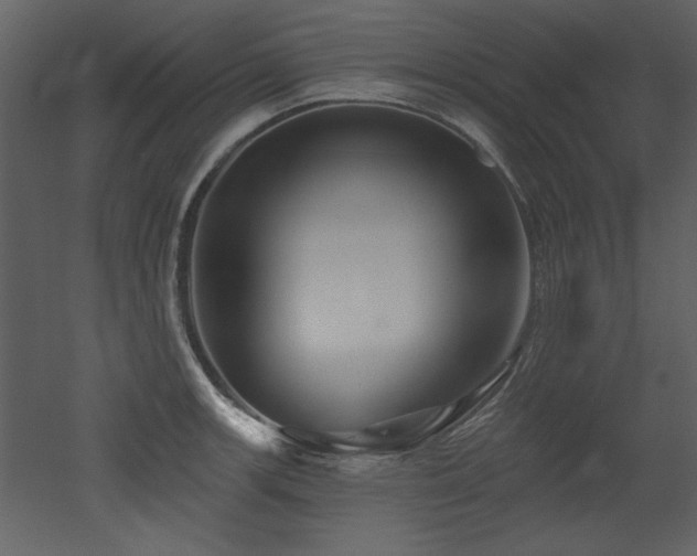 X0000052981139200507081116