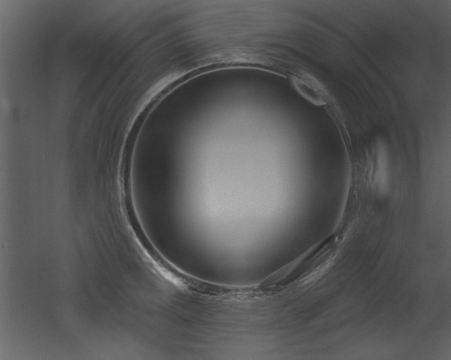 X0000052981141200507081116