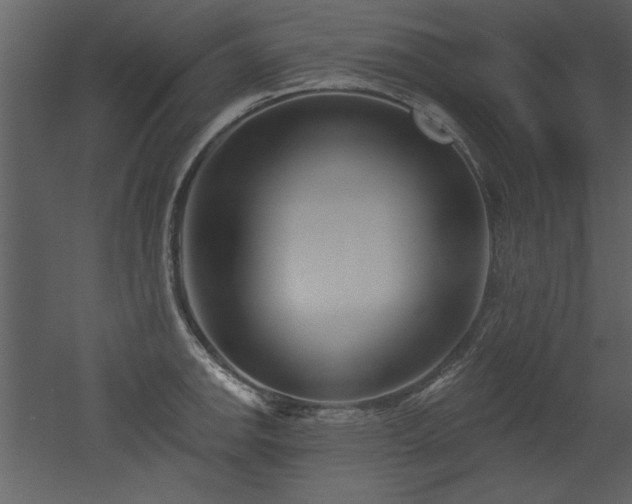 X0000052981142200507081116