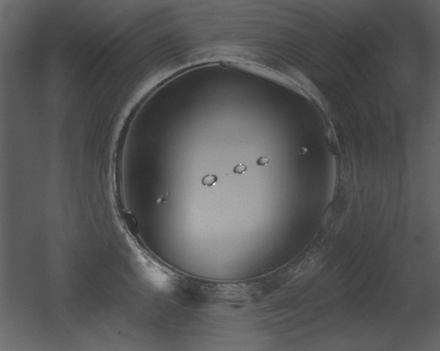 X0000052981144200507081116