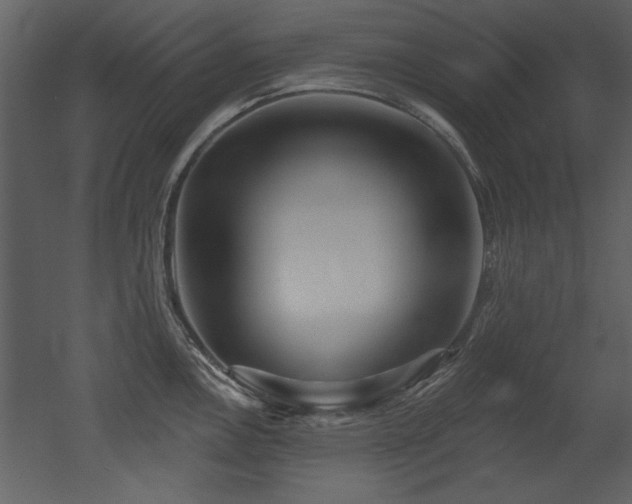 X0000052981146200507081116