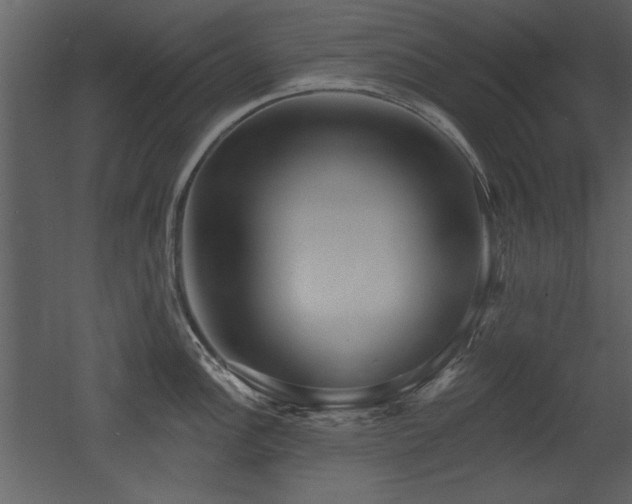 X0000052981148200507081116